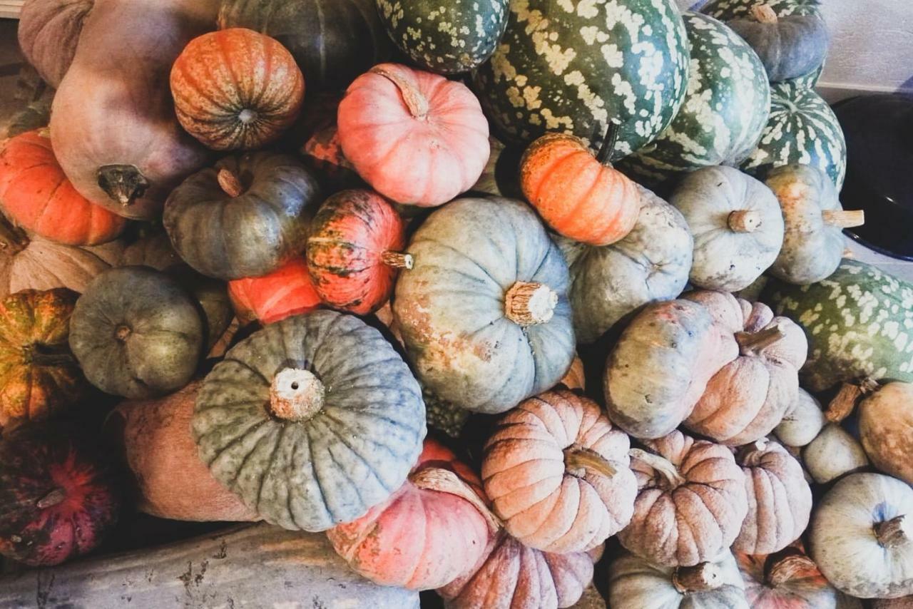 Agriturismo Fiori Di Zucca Fossano Bagian luar foto